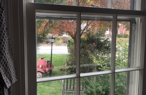 Woodmont Triangle Apartment | Fine Art and Garden Views near Bethesda metro