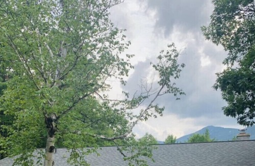 Wilmington Ski Chalet | Get away from it all at Nature’s Nest