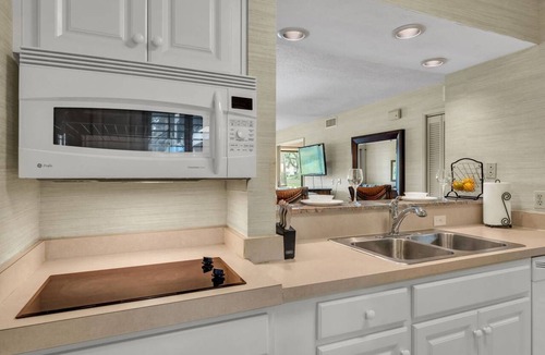 Wesley Chapel Condo | Golf Patio Condo | Work-Friendly Stay | 4 Queen Beds | Saddlebrook Resort | Optional Amenities
