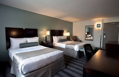 Downtown Chicago Hotel | Group Vacation! 4 Comfortable Units, Rooftop Deck