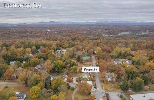 Demorest Apartment | Haven at Hazel ~ Downtown Studio