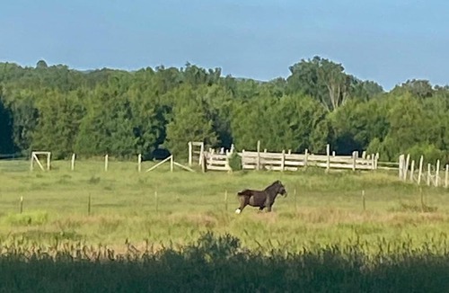 Tiff Other | Hawks Bluff Farm