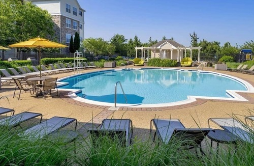 Herndon Apartment | Herndon #11306 · Monochromatic Modern 2BR|2BTH Min. IAD w Amenities