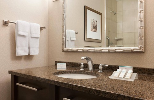 Ashburn Hotel | Hilton Garden Inn Dulles North