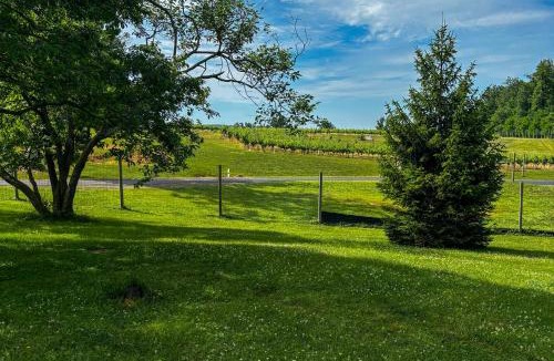 Millville House | Historic DC Wine Country: 10 Acres, Private Pool