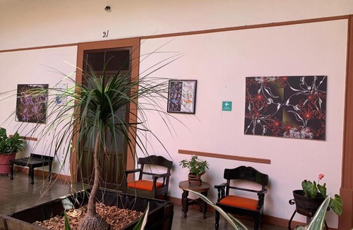 Centro Hotel | Hotel Villa de Flores