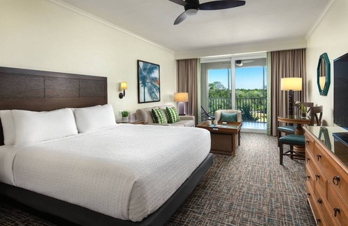Estero Condo | Hyatt Coconut Cove! Lazy River! Quiet Location! Sleeps 8!