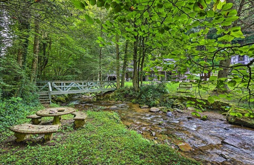 Roan Mountain Cabin | Idyllic Roan Mountain Cabin Across from Creek