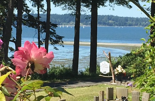 Bow Cottage | July weekend still available! Awesome views. Close to great food & fun hikes!