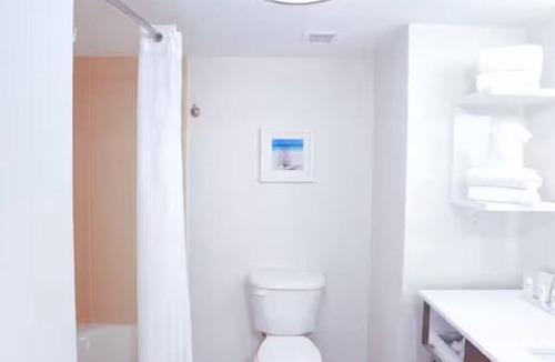 Wesley Chapel Hotel | King Bed Room w/SofaBed + Complimentary Breakfast