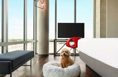Seybold Hotel | Kompose Boutique Hotel Miami Airport