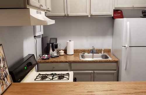 Grand Boulevard Apartment | Lg Studio Apt. No cleaning fee. Obama Center 10 mins.