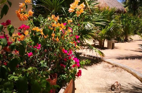 Merida Apartment | Los Cocos de Chacá