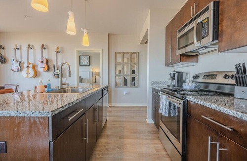 Rolling Mill Hill Condo | Luxurious Downtown Corner 2 bd 2bth-#220