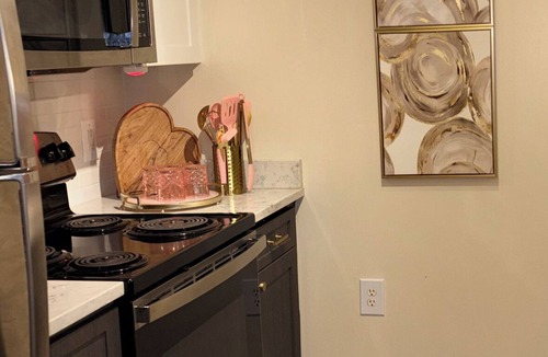 North Bethesda Apartment | Luxury, Chic Apt. with Game-Room Movie Theatre Room, 24hr Gym, Pool and Jacuzzi