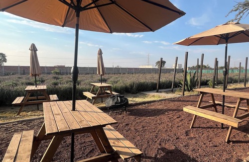 Texcoco de Mora RV Rental | Magical night at Glamping Rincón de Lavanda