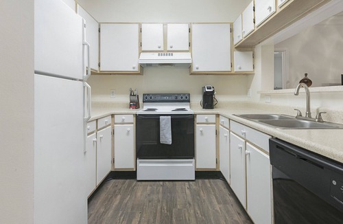 Winston - Salem Apartment | Modern Apartment in Prime Location (ID1234X500)