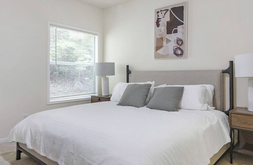 Winston - Salem Apartment | Modern Apartment in Prime Location (ID1234X500)