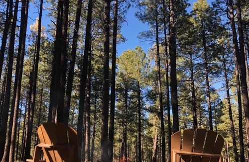 Heber Cabin | Modern cozy Forrest Lakes Cabin