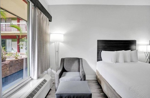 Downtown Hollywood Hotel | Modern room in Downtown Hollywood, steps away from the beach + Free Breakfast!