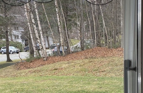 Warren Condo | Mountain Condo, Paradise, Sugarbush Village Rd, Warren, VT.