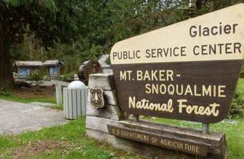 Warnick House | Mt. Baker Lodging Cabin 65 – SLEEPS 10!