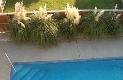 Nags Head House | Nags Head beautiful villa/home w/private pool hot tub FP ocean view pet-friendly