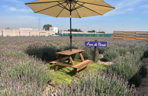 Texcoco de Mora RV Rental | Natural Romance in Glamping Rincón de Lavanda
