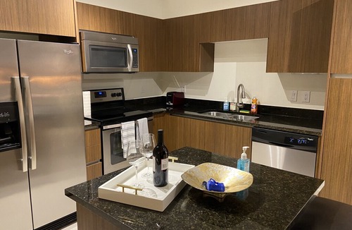 Channel District Apartment | NEW 1/1 Luxury Downtown Tampa Apt