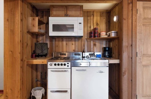 Big Canoe Cabin | Pet Friendly Cabin: Hot Tub, Game Room, Fire Pits