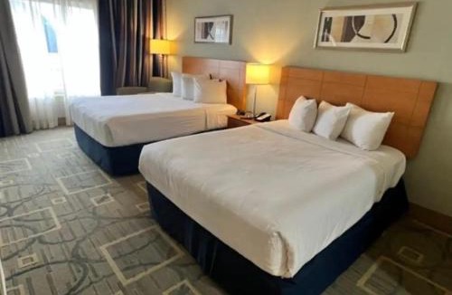 Las Vegas Apartment | Platinum Hotel
