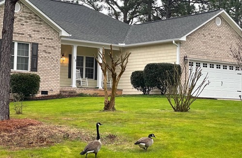 Pinehurst House | Pristine Pinehurst #6 home - Gated backyard - 2 min to courses. Handicap Access