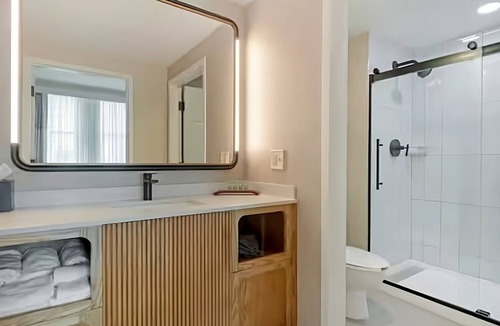 Downtown Tampa Hotel | Relax and Unwind! Experience Downtown Tampa Luxury