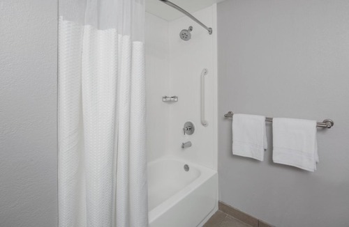 Oldsmar Hotel | Relaxing Stay! Poolside Comfort Near Tampa’s Top Attractions