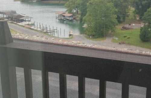 Huddleston Condo | Renovated , cozy condo overlooking Smith Mountain Lake waits for you!