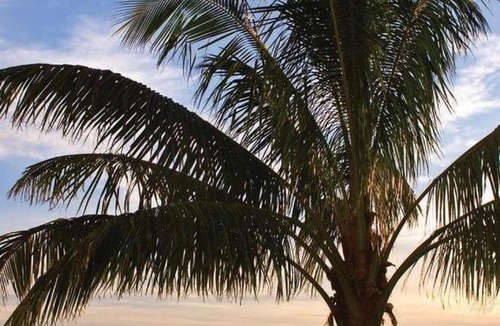 Treasure Island Hotel | Residence Inn by Marriott St. Petersburg Treasure Island