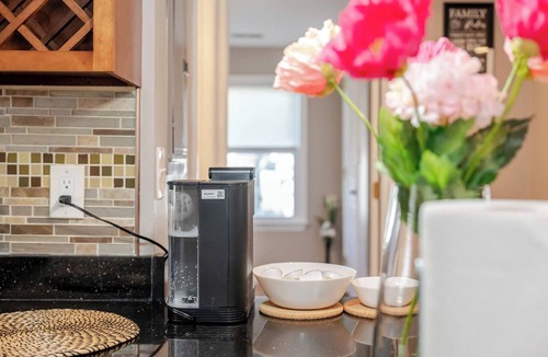 Quincy Apartment | Romantic 2BR Quincy Retreat Pet-Friendly Wollaston Beach & Red Line 74R