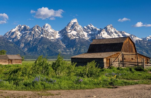 Tetonia House | Shepherds Wagon: Aesthetic Ranch Glamping