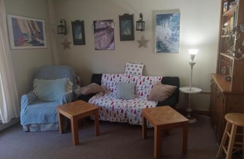 Warren House | Ski to your back door! Shared condo with ski professional and cat.