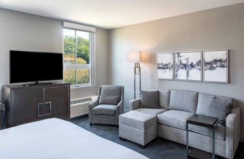 Waltham Hotel | Spacious Studio | 1 King Bed | Near Boston Waltham Center