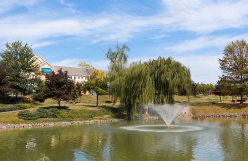 Chantilly Hotel | Staybridge Suites Chantilly Dulles Airport, an Ihg Hotel