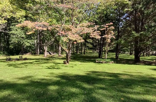 Peaks Cabin | Summertime at the cabin! Come relax, unwind, and rejuvenate!