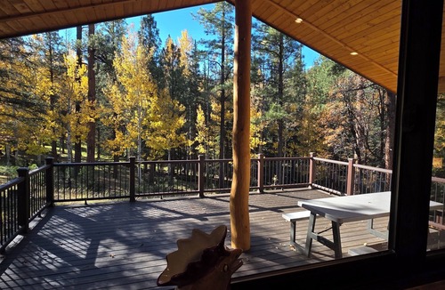 Alpine Cabin | Tree House View Cabin 3 Bedroom 3 Bath, Borders National Forest in Alpine AZ