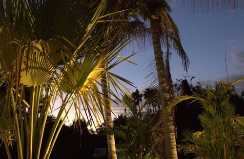 McGregor House | Tropical Mango Grove Stay Whiskey Creek Area