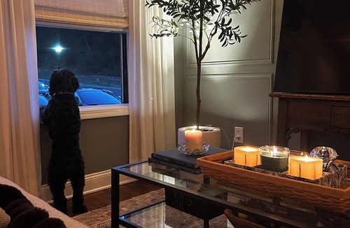 Branford Center Condo | Walk to Downtown-Pet Friendly, Private Deck & Fireplace