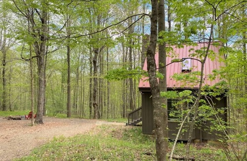 Meadows Of Dan Cabin | Wildcat Forest by Buffalo Mountain Getaway