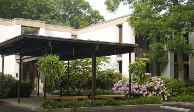 2.9 mii to Jamestowne | 1 King Bed | Pool Access