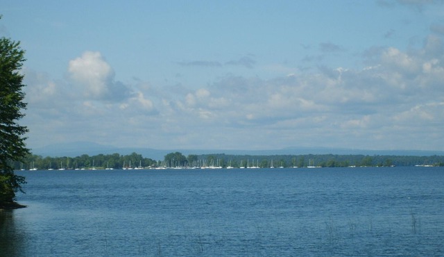 2-waterfront cottages together sleep10+ and have no other house in sight PRIVACY
