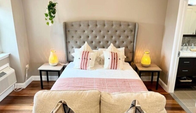 502 Luxury 1BR apartment in center city