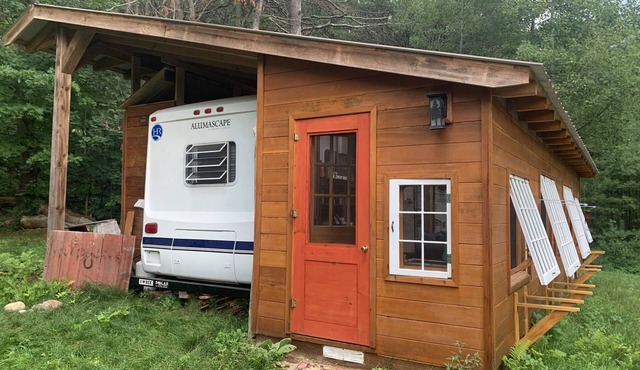 ADK Treehuggers' Paradise